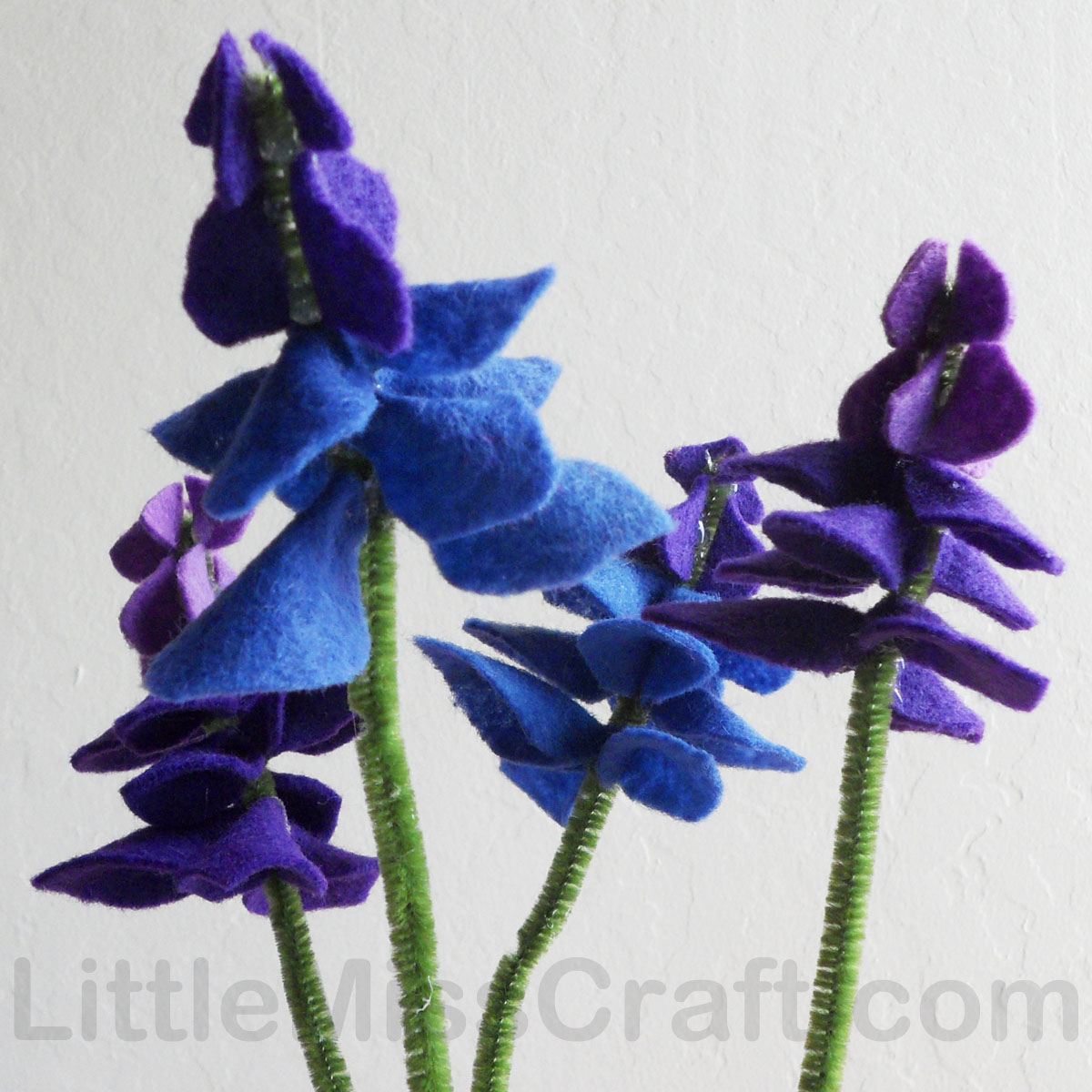 Truelove, Flower Saxon Bleu