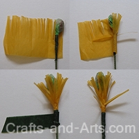 Shirley Poppies Craft