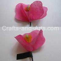 Shirley Poppies Craft