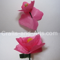Shirley Poppies Craft