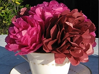 Rose Tissue Paper Flower Craft