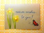 Butterfly Daffodil Card