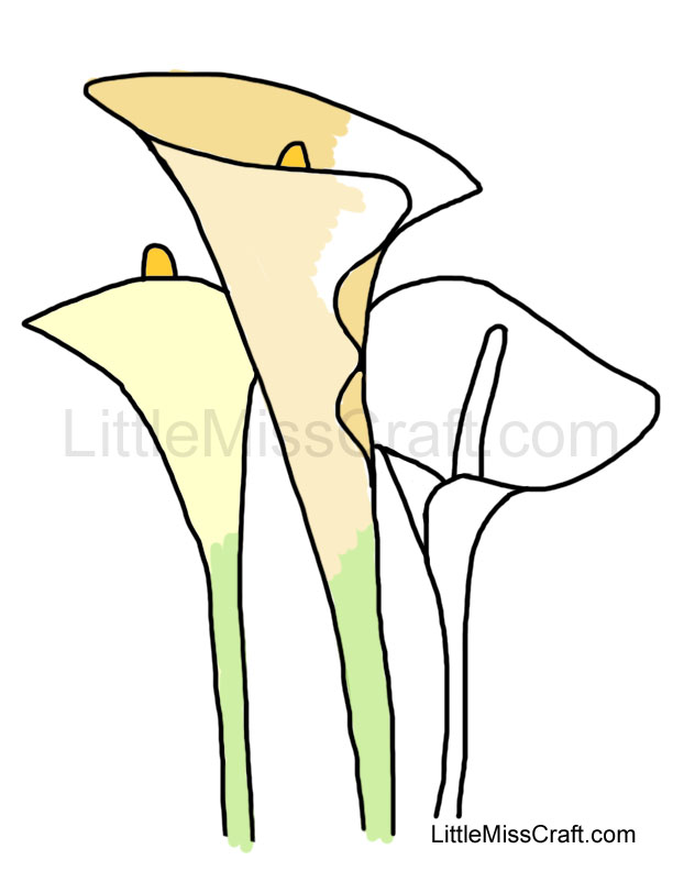 calla flowers coloring pages - photo #25