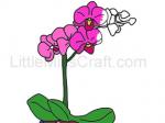 Orchid Plant Coloring Page