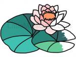 Water Lily Coloring Page 1 Craft