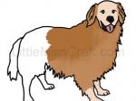 Golden Retriever Dog Coloring Page