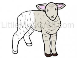 Lamb Coloring Page