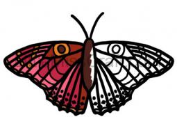 Butterfly Painted Lady Coloring Page