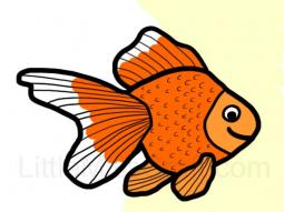 Goldfish Coloring Page