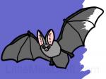 Bat Coloring Page 1 Craft