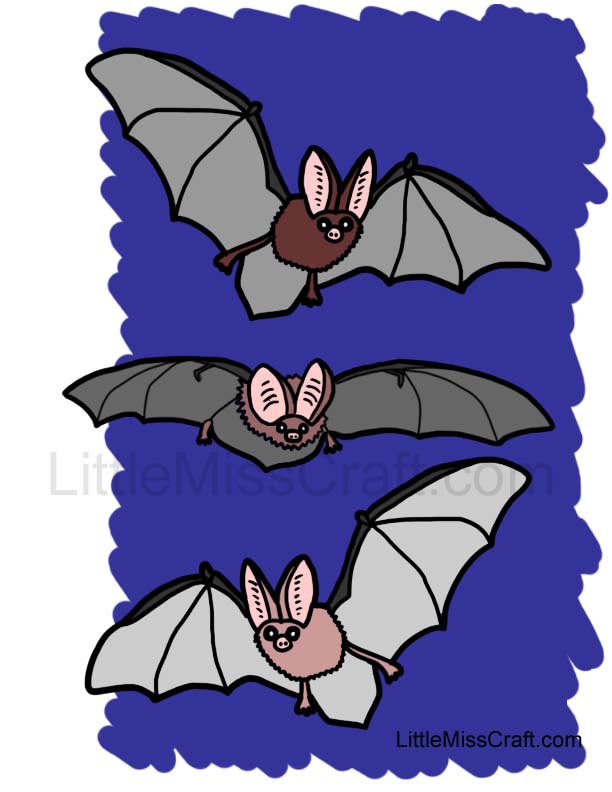 Bats Coloring Page