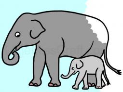 Elephant and Baby Coloring Page