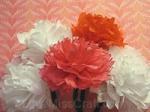 Carnation Tissue Paper Flower Craft