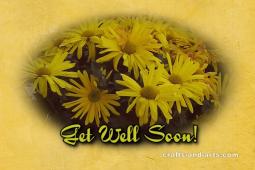 Yellow Daisy Get Well Card